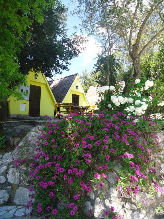 Apartments And Bungalows Mimoza Baosici Χέρτσεγκ Νόβι Εξωτερικό φωτογραφία