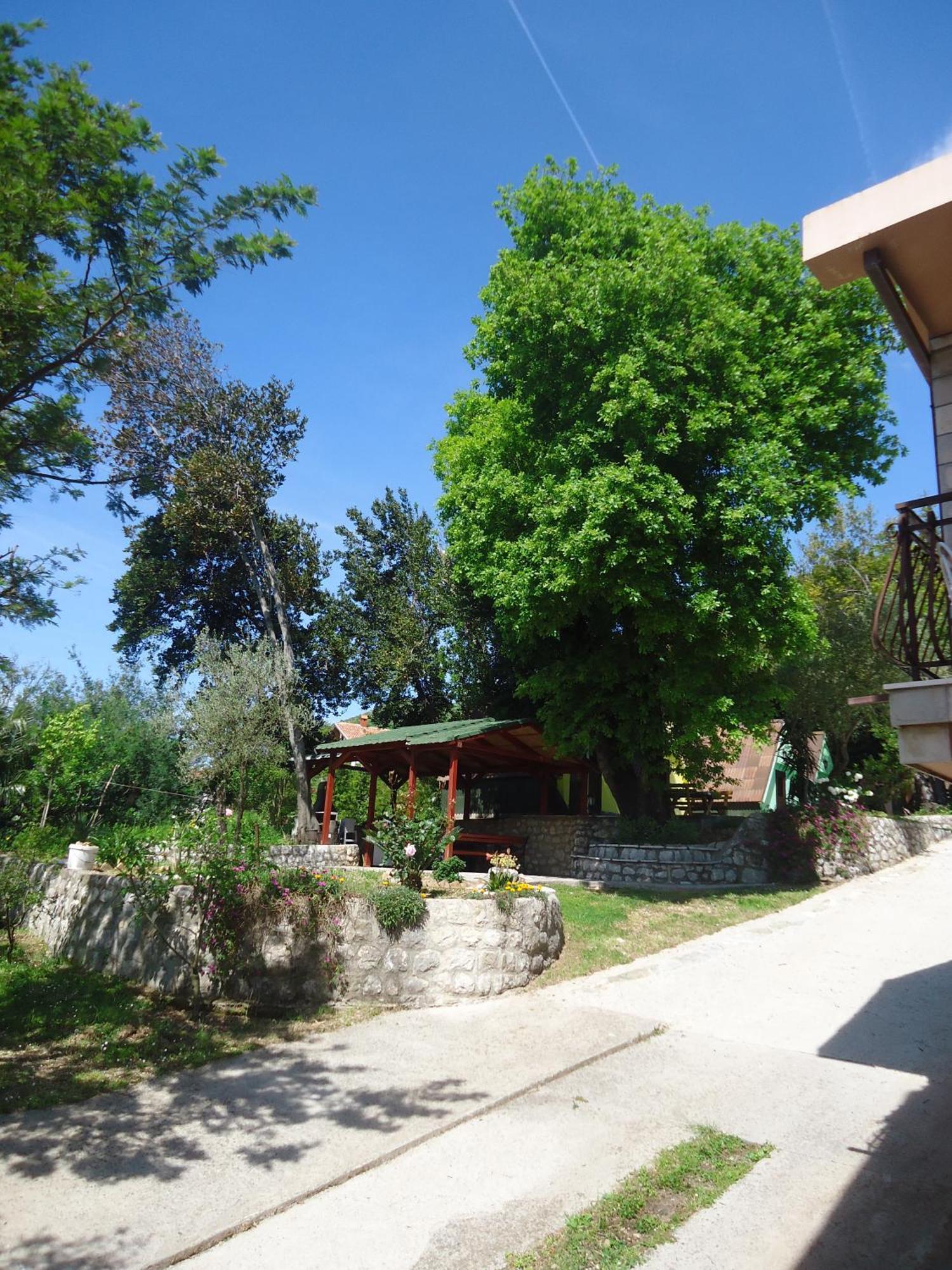 Apartments And Bungalows Mimoza Baosici Χέρτσεγκ Νόβι Εξωτερικό φωτογραφία