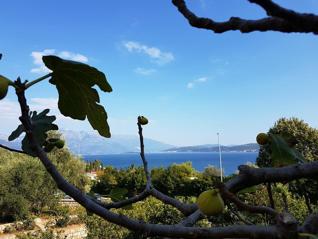 Apartments And Bungalows Mimoza Baosici Χέρτσεγκ Νόβι Εξωτερικό φωτογραφία