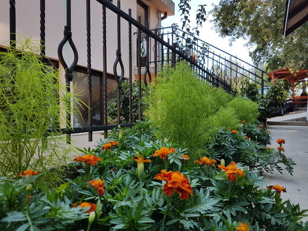 Apartments And Bungalows Mimoza Baosici Χέρτσεγκ Νόβι Εξωτερικό φωτογραφία