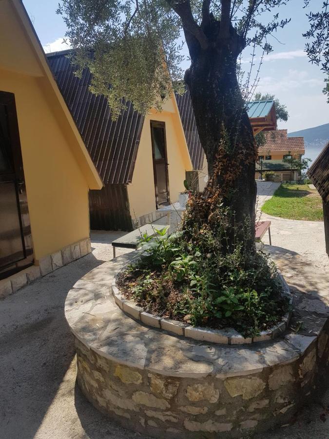 Apartments And Bungalows Mimoza Baosici Χέρτσεγκ Νόβι Εξωτερικό φωτογραφία