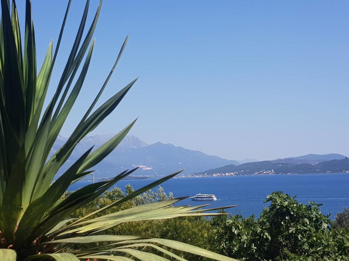 Apartments And Bungalows Mimoza Baosici Χέρτσεγκ Νόβι Εξωτερικό φωτογραφία